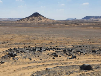 バハレイヤ・オアシス