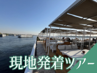 カイロ空港発着7泊8日