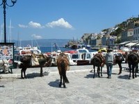 ギリシャ旅行　エーゲ海の島巡りミニクルーズ1日ツアー（バイキングランチ、英語アシスタント、アテネ市内ホテル送迎付き）