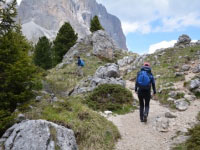 イタリア旅行　【プライベートツアー】日帰りドロミテ周遊+ミニハイキング、サッソルンゴハイキング（終日、日本語ガイド）