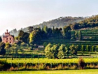 イタリア旅行　フランチャコルタ　スパークリングワイン半日ツアー