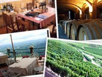 イタリア旅行　ビエモンテ州の美味しいワインをじっくりと味わうスペシャルワイナリーツアー（終日、日本語ガイド）