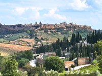 イタリア旅行 天空のチヴィタ、丘の町オルヴィエート、ボマルツォ怪物公園1日ツアー