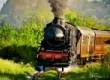 イタリア旅行ツアー　蒸気機関車で行く　白トリュフ祭りと世界遺産オルチャ渓谷鉄道で眺める　秋のトスカーナとフィレンツェ　イメージ