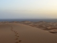 モロッコ旅行　メルズーガ１泊２日ツアー（英語ドライバー）