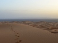 モロッコ旅行　メルズーガ２泊３日ツアー（英語ドライバー）